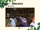 部编版道德与法治八年级上册 第一课 丰富的社会生活第1课时 我与社会 课件
