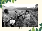 部编版道德与法治八年级上册 第一课 丰富的社会生活第1课时 我与社会 课件