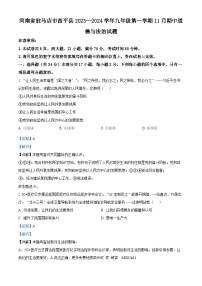 河南省驻马店市西平县2023-2024学年九年级上学期11月期中道德与法治试题（解析版）