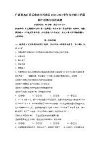 广西壮族自治区来宾市兴宾区2023-2024学年九年级上学期期中道德与法治试题（含解析）