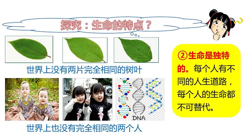 2023-2024学年部编版道德与法治七年级上册8.1 生命可以永恒吗 课件06