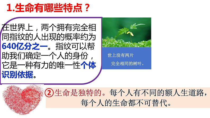 2023-2024学年部编版道德与法治七年级上册8.1 生命可以永恒吗 课件第7页