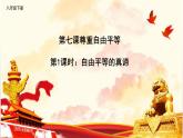 2022-2023学年部编版道德与法治八年级下册 7.1 自由平等的真谛 课件