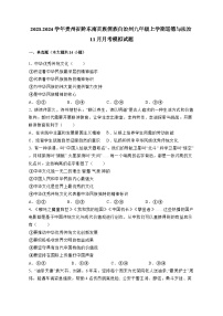 2023-2024学年贵州省黔东南苗族侗族自治州九年级上学期道德与法治11月月考模拟试题（含答案）