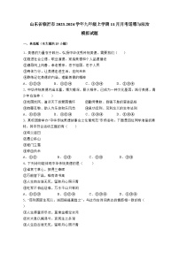 山东省临沂市2023-2024学年九年级上学期11月月考道德与法治模拟试题（含答案）