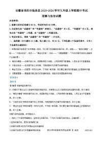 安徽省阜阳市临泉县2023-2024学年九年级上学期期中考试道德与法治试题（解析版）