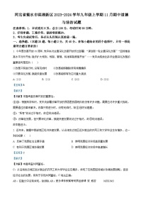 河北省衡水市滨湖新区2023-2024学年九年级上学期11月期中道德与法治试题（解析版）