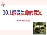 10.1 感受生命的意义  课件-2023-2024学年七年级道德与法治上册