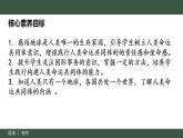 7.1 人类生活在同一个地球村（同步课件）《习近平新时代中国特色社会主义思想》 学生读本 （初中） (2)