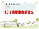 10.1 感受生命的意义  课件-2023-2024学年七年级道德与法治上册