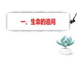 10.1 感受生命的意义  课件-2023-2024学年七年级道德与法治上册
