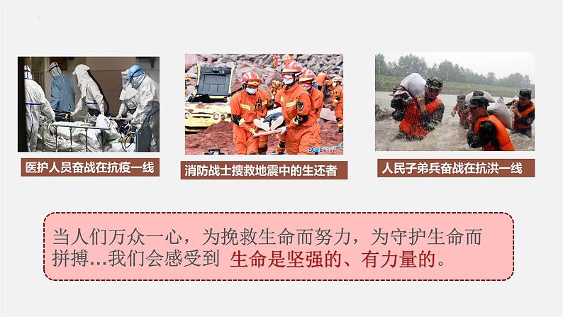 8.2 敬畏生命  同步课件-2023-2024学年七年级上册道德与法治 （部编版）第4页