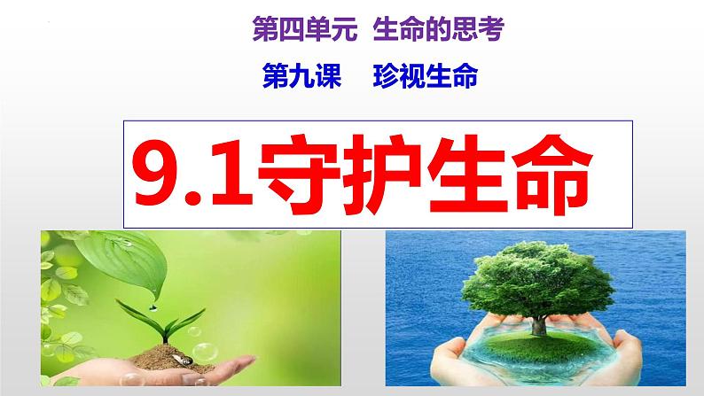 9.1 守护生命   同步课件-2023-2024学年七年级上册道德与法治 （部编版）第2页
