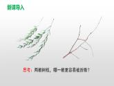 9.2 增强生命的韧性  同步课件-2023-2024学年七年级上册道德与法治 （部编版） (2)