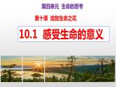10.1 感受生命的意义  同步课件-2023-2024学年七年级上册道德与法治 （部编版）
