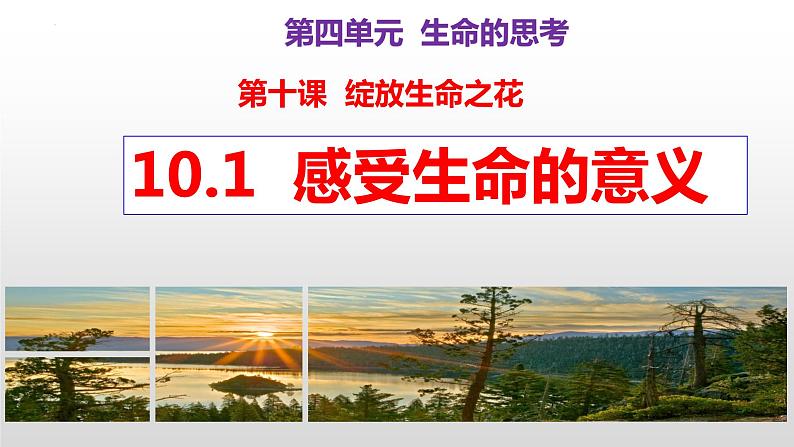 10.1 感受生命的意义  同步课件-2023-2024学年七年级上册道德与法治 （部编版）第1页