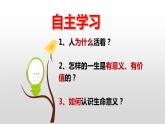 10.1 感受生命的意义  同步课件-2023-2024学年七年级上册道德与法治 （部编版）