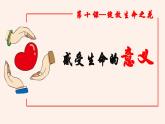 10.1 感受生命的意义同步课件-2023-2024学年七年级上册道德与法治 （部编版）