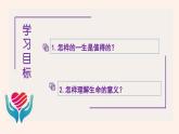 10.1 感受生命的意义同步课件-2023-2024学年七年级上册道德与法治 （部编版）