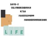 10.1感受生命的意义  同步课件-2023-2024学年七年级上册道德与法治 （部编版）