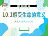 10.1感受生命的意义  同步课件-2023-2024学年七年级上册道德与法治 （部编版）