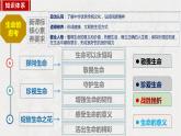 10.1感受生命的意义 同步课件-2023-2024学年七年级上册道德与法治 （部编版）