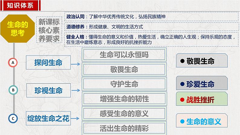 10.1感受生命的意义 同步课件-2023-2024学年七年级上册道德与法治 （部编版）第2页