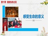 10.1感受生命的意义 同步课件-2023-2024学年七年级上册道德与法治 （部编版）