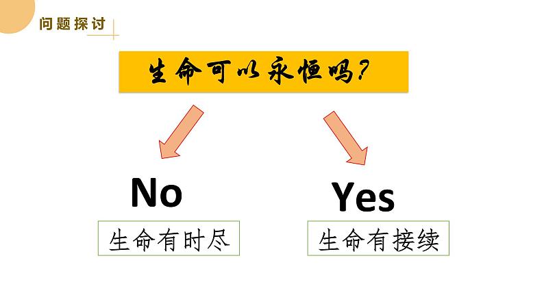 8.1生命可以永恒吗 课件 2023-2024上学期 七年级道德与法治 统编版 (2)第3页
