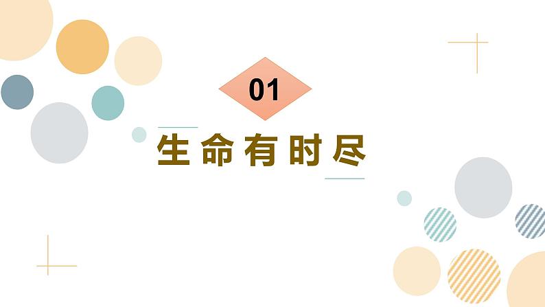 8.1生命可以永恒吗 课件 2023-2024上学期 七年级道德与法治 统编版 (2)第4页