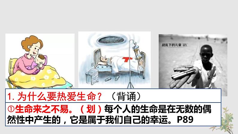 8.1生命可以永恒吗 课件 2023-2024上学期 七年级道德与法治 统编版 (2)第6页