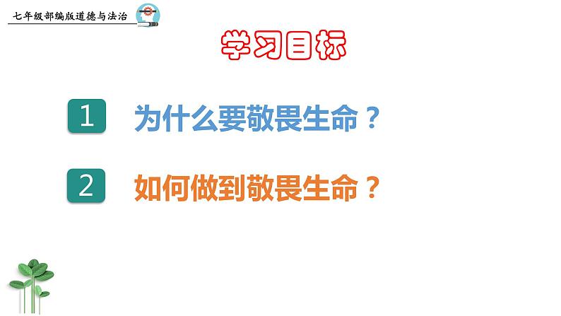 8.2  敬畏生命 课件 2023-2024上学期 七年级道德与法治 统编版第4页