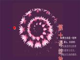 10.1 感受生命的意义 课件 2023-2024上学期 七年级道德与法治 统编版
