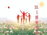 10.1 感受生命的意义 课件 2023-2024上学期 七年级道德与法治 统编版