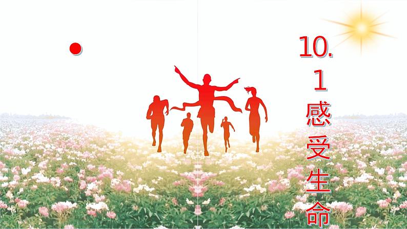 10.1 感受生命的意义 课件 2023-2024上学期 七年级道德与法治 统编版第2页