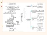 2023-2024学年八年级道德与法治（部编版）上学期期中考点大串讲 第一课 丰富的社会生活（课件）