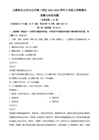 云南省文山州文山市第二学区2023-2024学年八年级上学期期末道德与法治试题