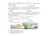 3.2 参与民主生活（练习）-2023-2024学年九年级道德与法治上学期精品课件+习题（部编版）