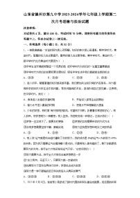 山东省德州市第九中学2023-2024学年七年级上学期第二次月考 道德与法治试题（含解析）