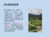 人教部编版八年级上册道德与法治第一课第二框在社会中成长课件