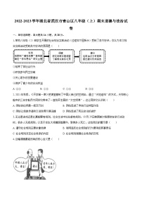 2022-2023学年湖北省武汉市青山区八年级（上）期末道德与法治试卷（含详细答案解析）