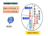 5.3基本经济制度 课件 八年级道德与法治下册 （部编版）