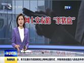 七年级上册部编版道德与法治5.2 网上交友新时空教学课件