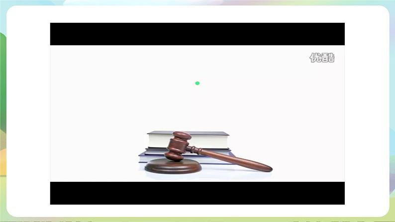 人教部编版道法八年下册 1.2《 治国安邦的总章程》课件第6页