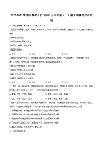 2022-2023学年安徽省合肥市庐阳区九年级（上）期末道德与法治试卷（含详细答案解析）