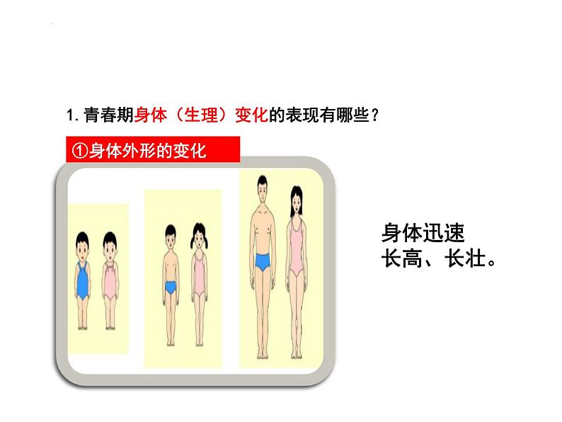 1.1+悄悄变化的我+课件统编版道德与法治七年级下册06