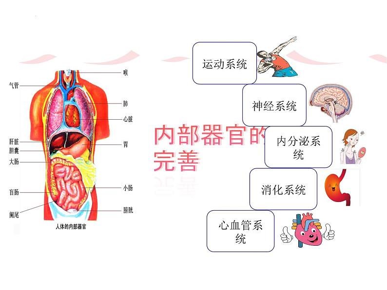 1.1+悄悄变化的我+课件统编版道德与法治七年级下册07