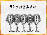 9.1+生活需要法律+课件部编版道德与法治七年级下册