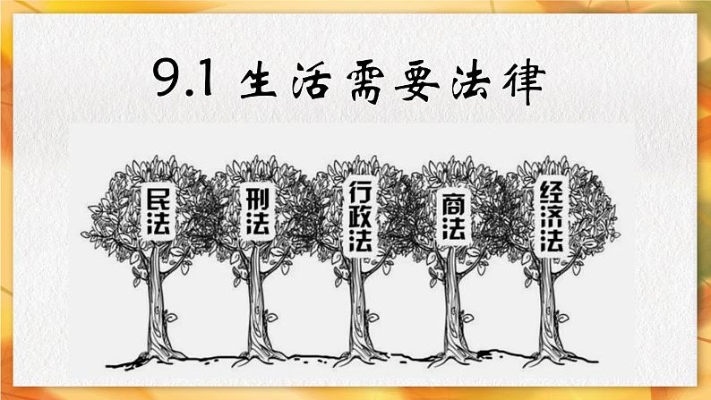 9.1+生活需要法律+课件部编版道德与法治七年级下册03