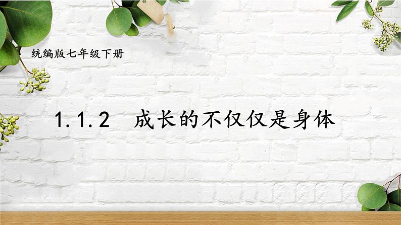 部编版七年级下册道德与法治课件 1.1.2 成长的不仅仅是身体第1页